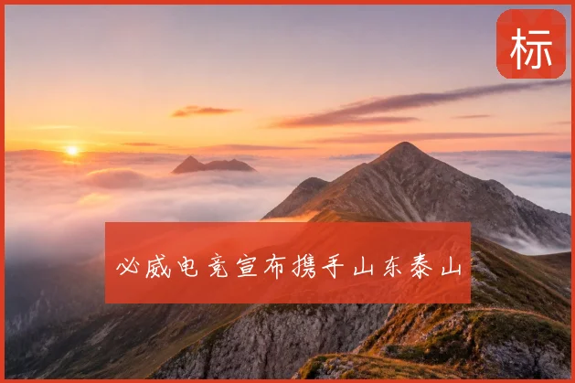 必威电竞宣布携手山东泰山